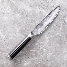 Kaijirushi KAI Shun Classic Steak Knife B 100mm Stainless 580DM0751 From JAPAN