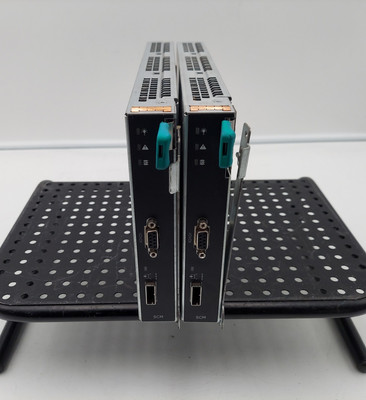 LOT OF 2 Intel F29ICBY320000S3 D91231-011 SCM SAS Storage Controller Module