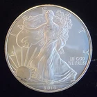 2010 American Eagle Toned Walking Liberty Bullion-0.999 Silver 1 Oz Coin 4j