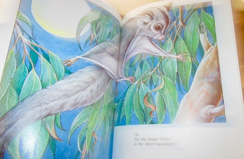 BUSH WALK ~ Tricia Oktober. Aust Wildlife SOFTc RARE Gem! UNread HERE in MELB - Picture 8 of 12