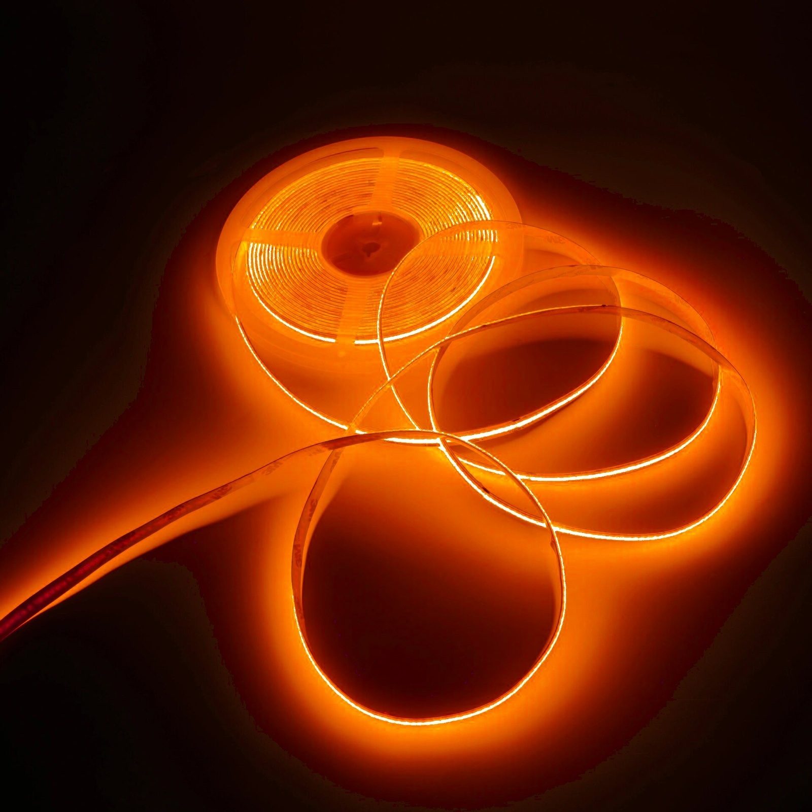 Bild 6 von 57