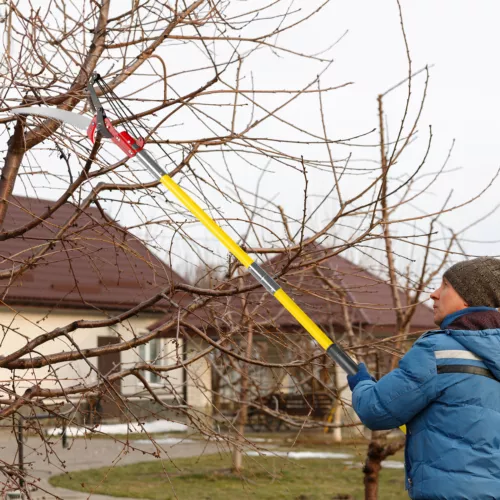 Tree Pruner Pole 26ft.Saw Branch Limb Pruning Cutter Trimmer Extendable Shaft US - Bild 6 von 8
