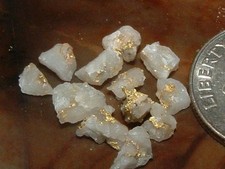 OREGON GOLD QUARTZ MINI SPECIMENS .65 GRAM BLUE MTNS GOLD