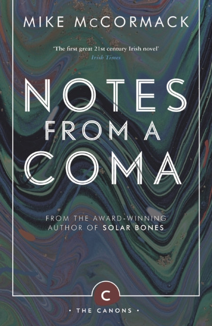 Notes from a Coma by Mike McCormack (Paperback Book)