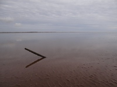 Foto 6x4 alter Stock im Schlamm Wainfleet Sand nicht viele Dauermerkmale c2017