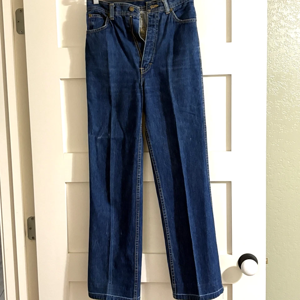 Pantalones de mezclilla de colección WILLIE NELSON W 24 L 28,5 talla 7 cintura alta años 80 Bluejeans hippie Foto 2 de 4