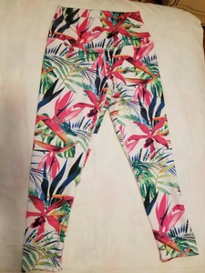 creation and evolution yoga pants