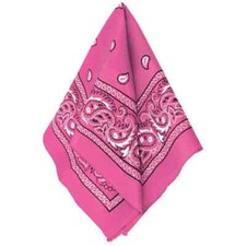 Team Spirit Bandana Sports Party Pep Rally Halloween Costume Accessory 12 COLORS