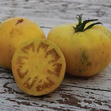 Tomato Pineapple Pig  100 seeds