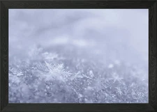 Close-up of Snowflakes Framed Wall Art Poster Canvas Print Picture