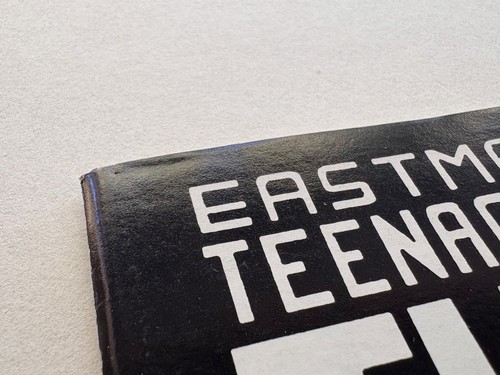 Teenage Mutant Ninja Turtles #3 (1985) 2nd print Mirage Eastman Laird VF range - Picture 3 of 10