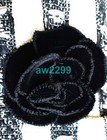 Bild 3 von 12
