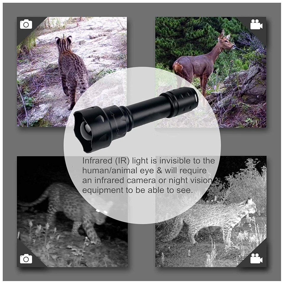 NUEVO T20 Zoom Infrarrojo 810nm LED IR Caza Linterna Impermeable + Cola de Rata - Imagen 3 de 4