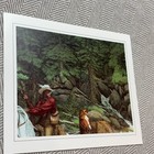 Picture 7 of 7
