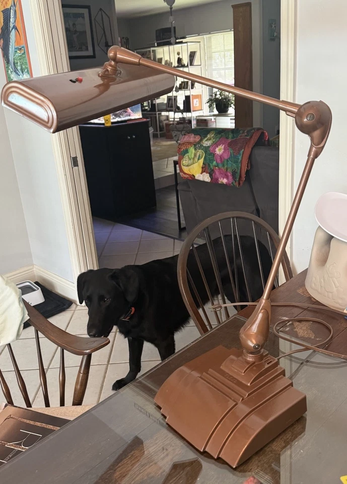 Flexo de bronce Midcentury doble luz pintura original y cable funcionando Foto 2 de 4