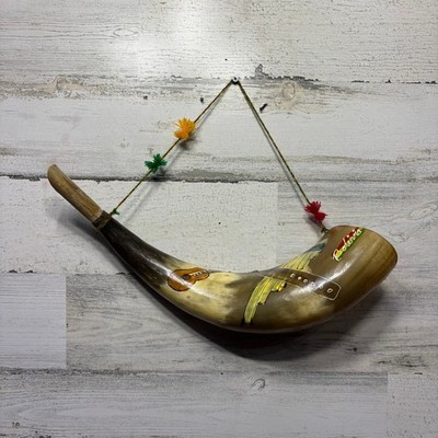 Traditional Hand Painted  Pututu  Andean Wind Instrument