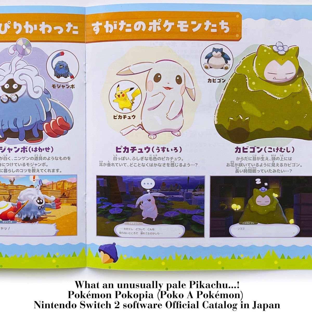Pokopia Poko a Pokemon 2026 Official Switch2 Catalog booklet Japan