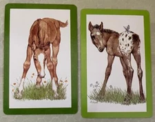 2 SWAP CARDS VINTAGE CURRENT APPALOOSA FOAL HORSE BUTTERFLY PLAYING NOT A DECK