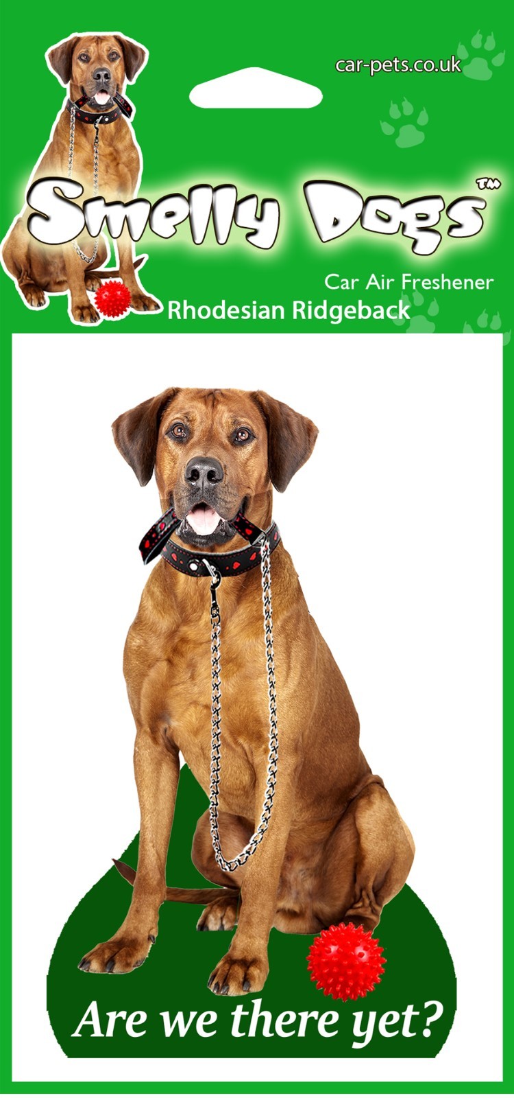 Rhodesian Ridgeback Dog Lovers Gift -  2 x delightful hanging car air fresheners