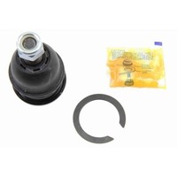 Ackoja A52-0120 Trag-/FüHrungsgelenk Original Ackoja QualitäT FüR Hyundai, Unten