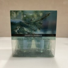 Bath Body Works 2 In Pack Wallflower Plug Refills Evergreen Fresh Relaxing