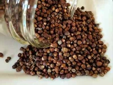 Alligator Pepper - Grain Of Paradise Seeds 2 oz