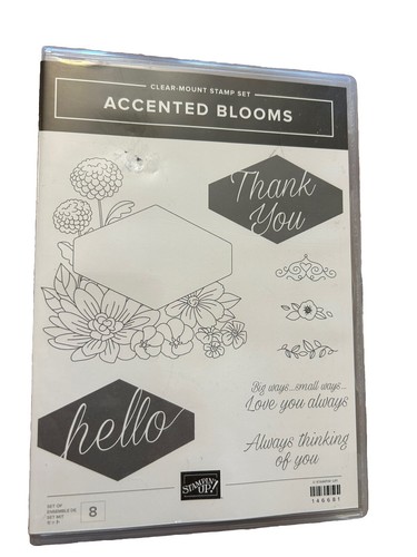 Stampin Up Stempelset: AKZENTBLÜTEN, gebraucht