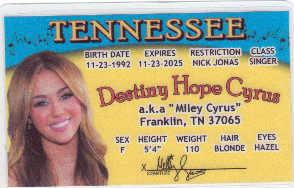 非売品 Miley Cyrus 会員カード 非売品 Miley Cyrus 会員カード