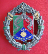 1st Regiment of the French Foreign Legion Badge 1er Regiment Legion Etrangere