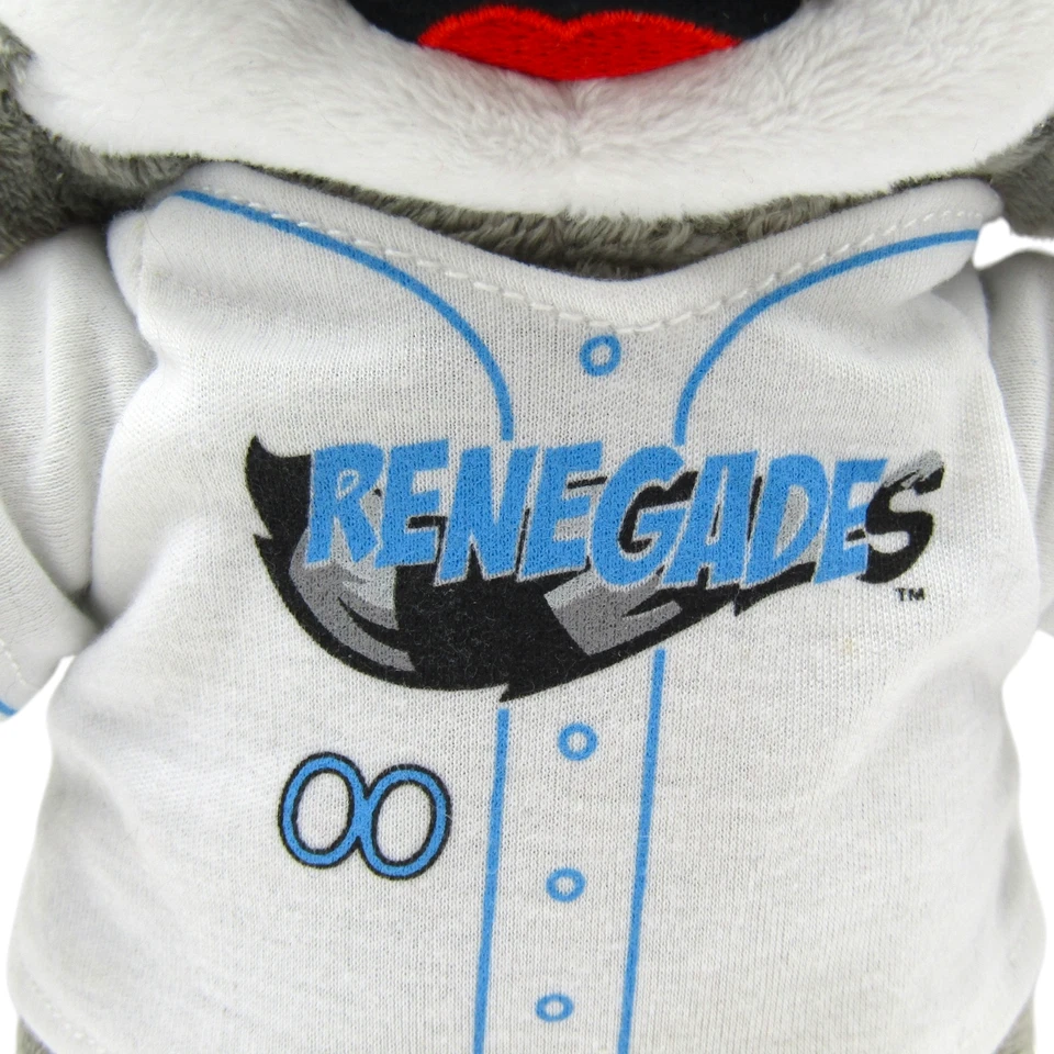 Hudson Valley Renegades Rascal Racoon Plush Build-a-Bear Mascot NY Yankees MiLB - Image 3 of 4