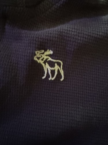 Abercrombie Hoodie Sweatshirt Boys Size XL Blue Full Zip Up 100% Cotton - Picture 3 of 5