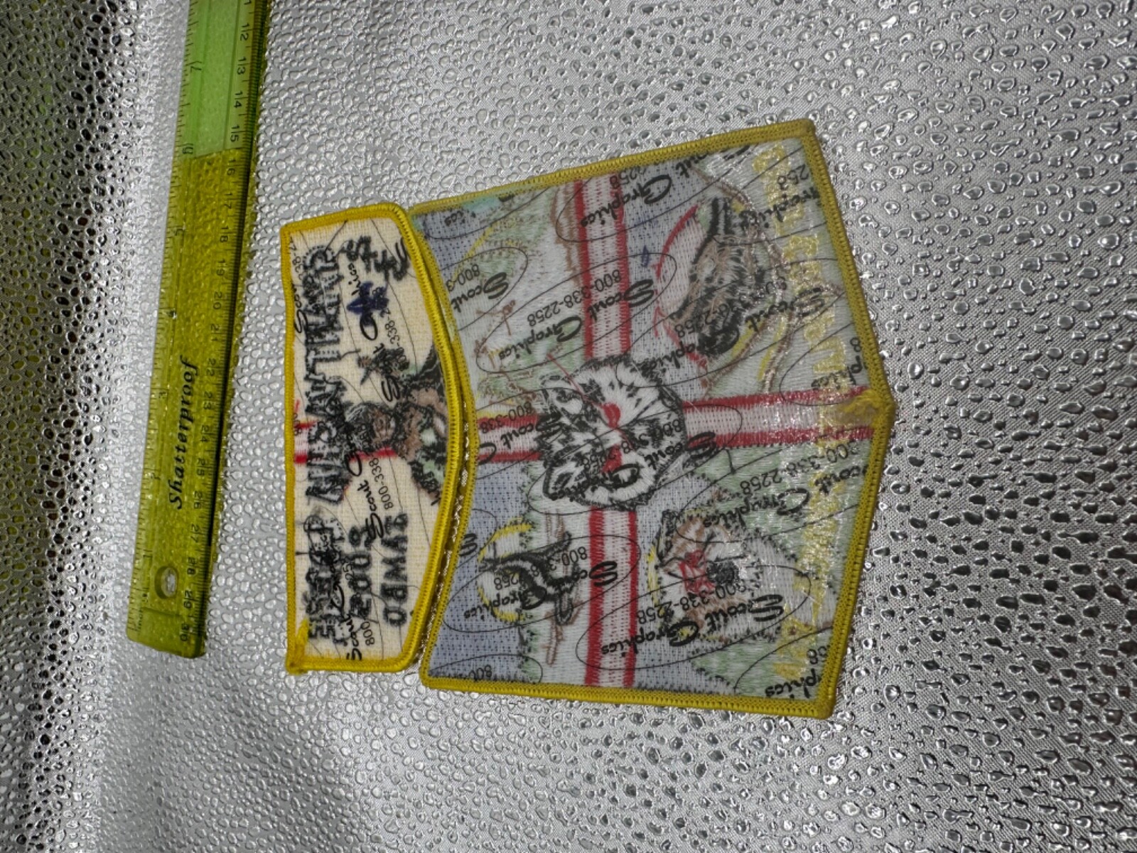 Picture 6 of 6