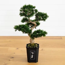 30" Artificial Cedar Bonsai Tree w/517 Lvs in Square Black Vase. Retail $197