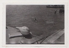 Inflatable Shark Relaxing by the Pool Summer Days Snapshot Artsy Abstract Photo
