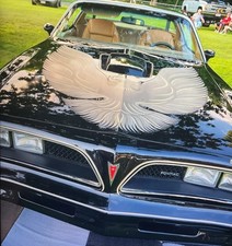1978 Pontiac Trans Am for Sale