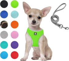 Puppy Harness and Leash Set - Dog Vest Harness for Small Dogs Medium Dogs- Adjus