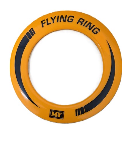 10" Neon Flying Ring Disc Frisbee – Kids Outdoor Beach & Garden Toy Game - Picture 3 of 14