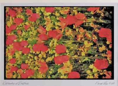 Trikot 286025 Tulpen im Millbrook Park A3 Aquarelldruck