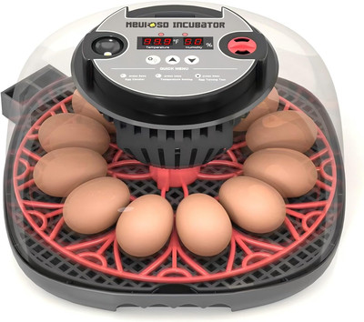 12-24 Egg Incubator with Humidity Display, Egg Candler, Automatic Egg Turner, fo