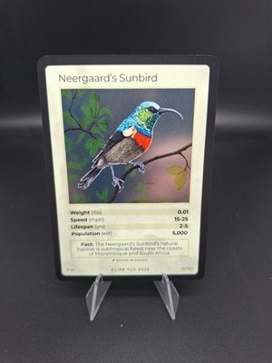 Life Tcg Birds: Neergaard's Sunbird HOLO 31/130 POP 5000