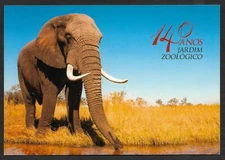 Portugal Elephant Lisbon Zoo 140 years 2024 postal card stationery