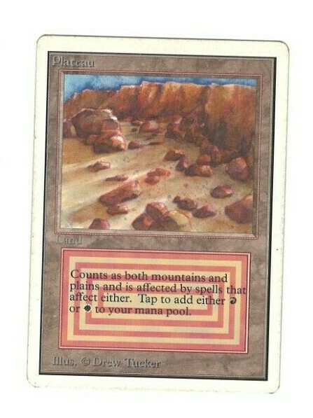 Plateau デュアルランド Plateau》[3ED] 土地R | 日本最大級 MTG通販サイト「晴れる屋」