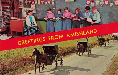 x8 Vintage Postcards Amish Country Amishland Barn-Raising