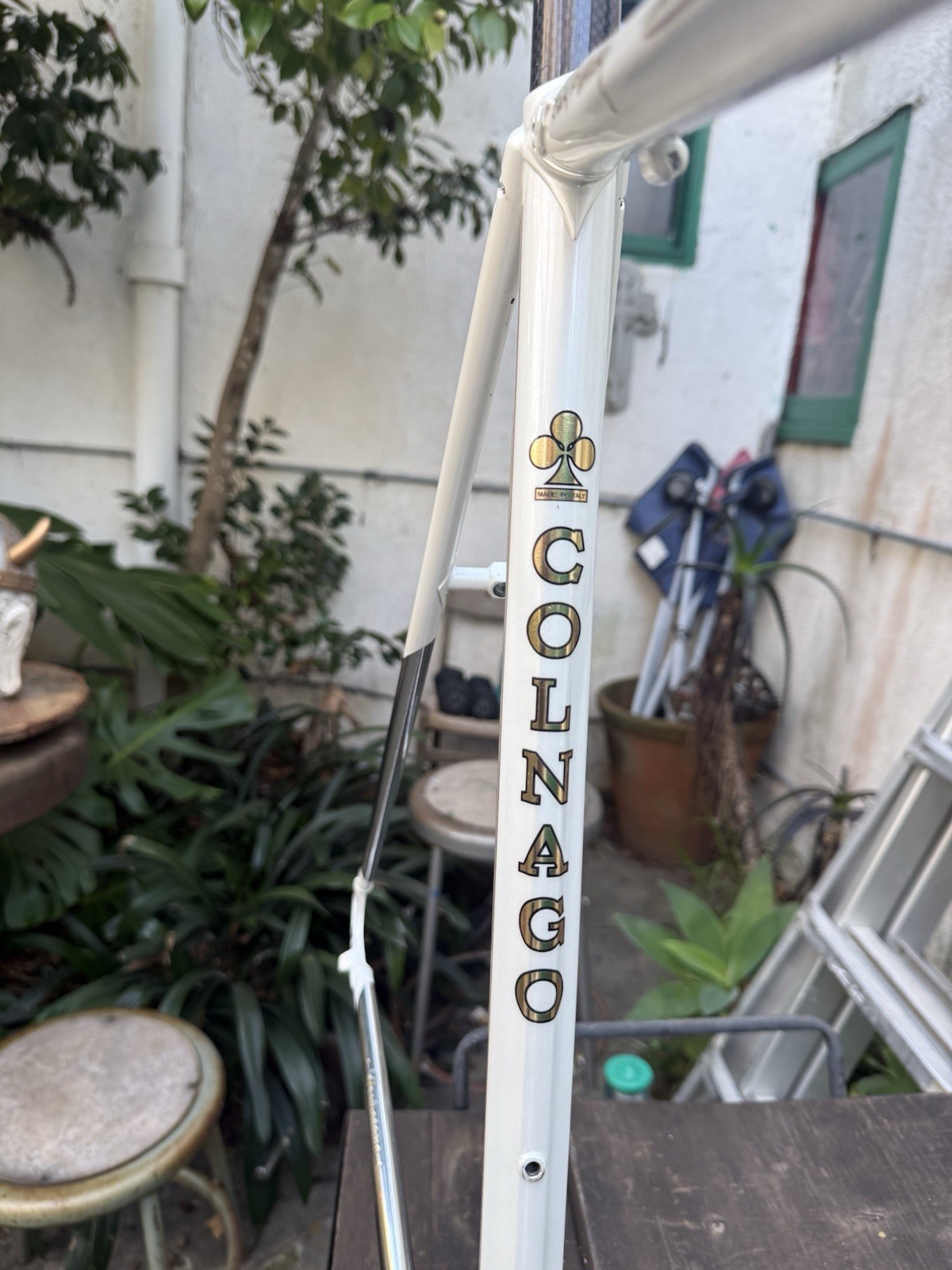 Colnago master Arabesque frameset 60cm pearlescent white/gold chrome fork