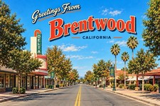 Greetings From Brentwood, CALIFORNIA Modern Large Letter Postcard 4x6 E237