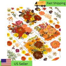 Resiners 100x Dried Pressed Flowers for Resin Soap Candle Jewelry DIY