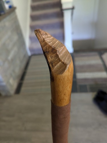 Walking Stick