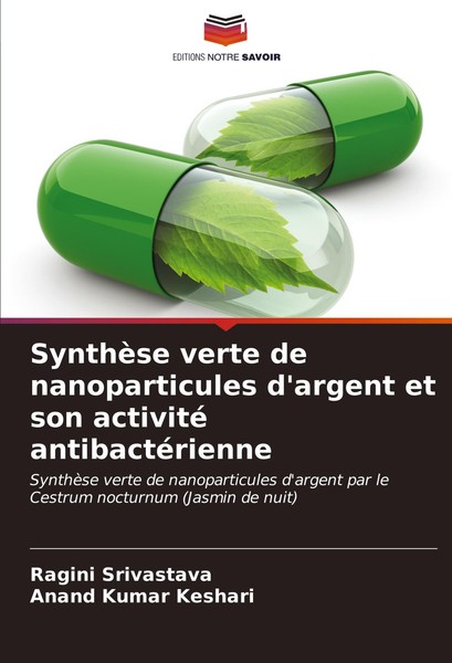 SynthèSe Verte De Nanoparticules D'argent Et Son Activité AntibactéRienne Ragini-image
