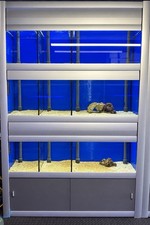 Fish Tank Racking System Breeding Tanks Marine Aquarium