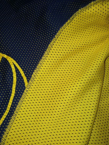 Vintage Nike Team Sports Reversible Michigan Basketball Jersey Large - Picture 8 of 8